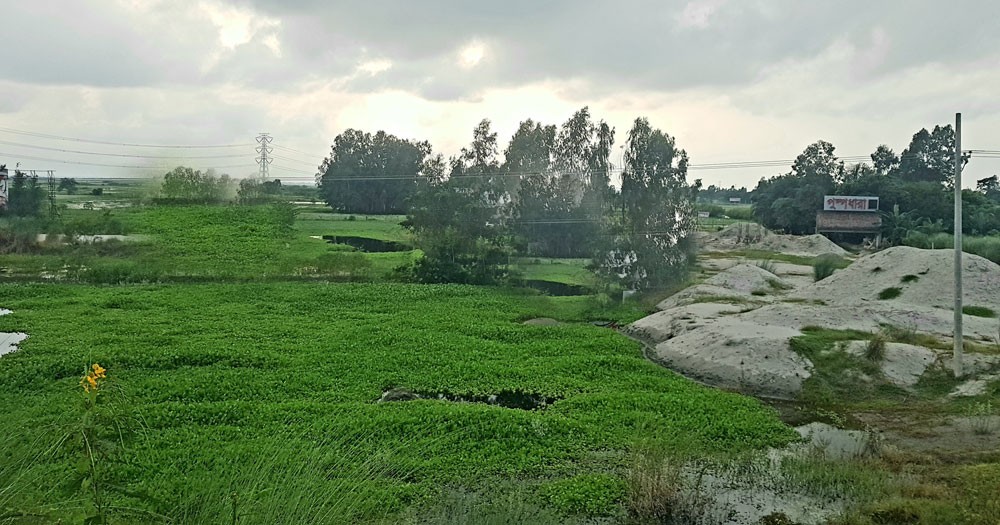 দখলদারদের কবলে আড়িয়াল বিল