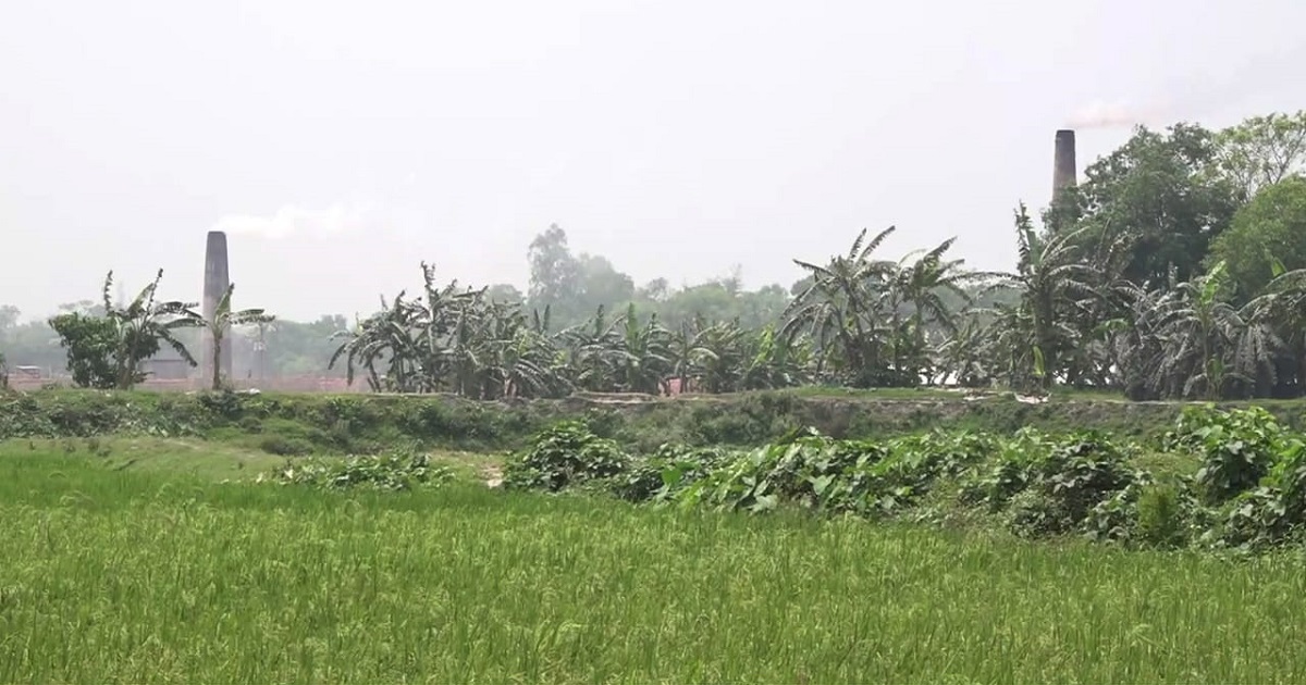 নরসিংদীর পলাশে কৃষি জমিতে ইট ভাটা