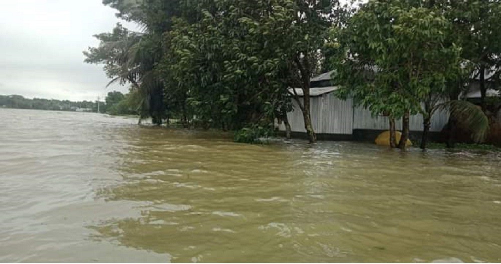 ময়মনসিংহের ধোবাউড়ায়  আকস্মিক বন্যা, পানি বন্দি ৩০ গ্রাম 