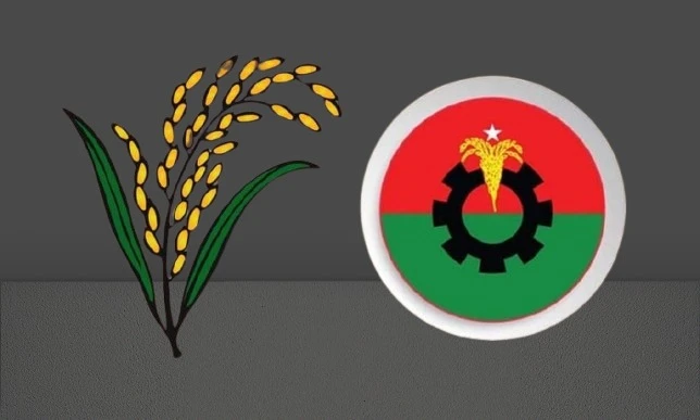 Bnp Rice বিদ্রোহী প্রার্থীর চাপে বিএনপি, সামাল দিতে না পারলে হিতে বিপরীত হতে পারে